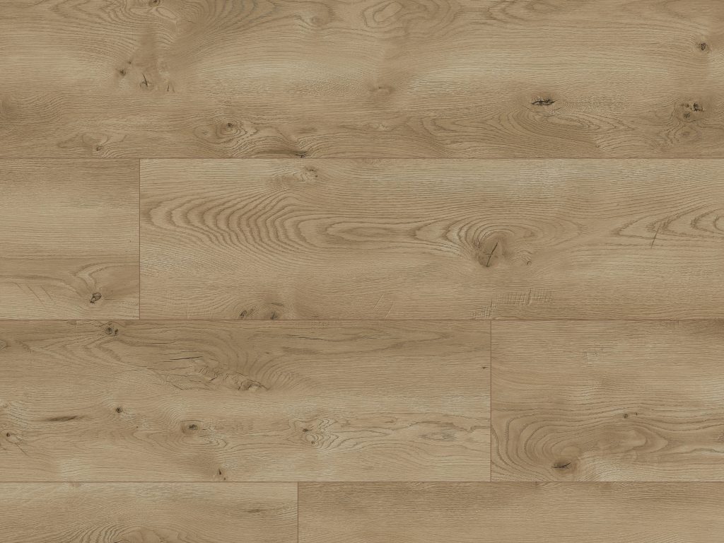 64844 - Evolution 4V - Lincoln Oak - L4145_280mm - Classen